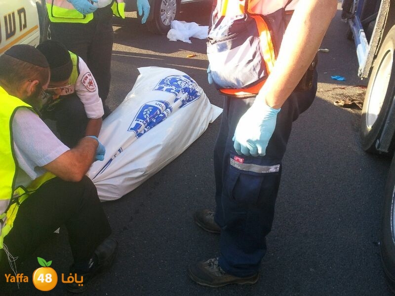 sha7enaramlalud527 (3).jpg